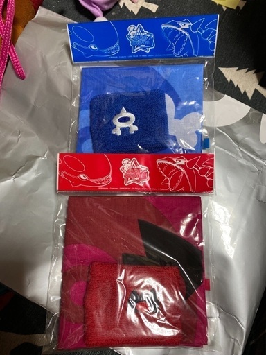 ポケモンのバンダナ＆リストバンドです