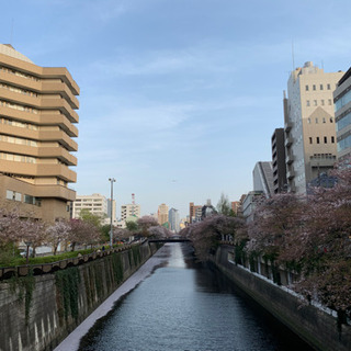 目黒～中目辺りで、散歩呑み出来る友達募集です。