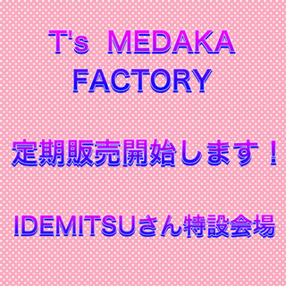 定期販売開始します！