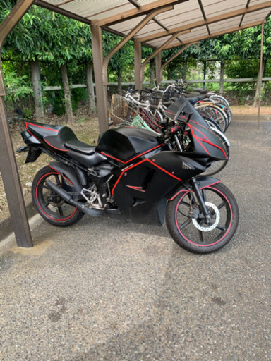ns-1  車体