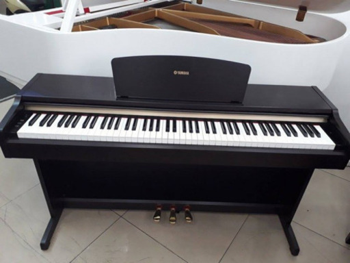 YAMAHA YDP 123