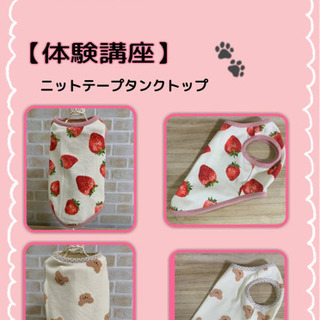 犬服教室・シュシュ♪   受講生募集