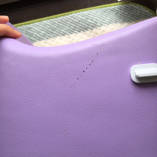 赤ちゃん椅子　カリブの画像