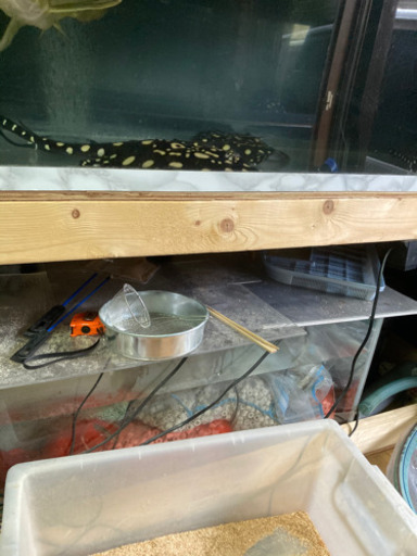 水槽　内容変更しました