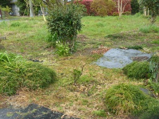 家庭菜園に　畑賃貸