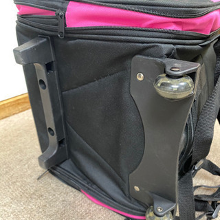 【最終値下げ】リッチェル Pet Gear アイゴートゥトラベラー ピンクの画像