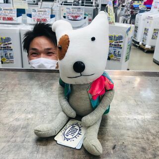 Bobby Dazzlerボビーダズラー イヌ