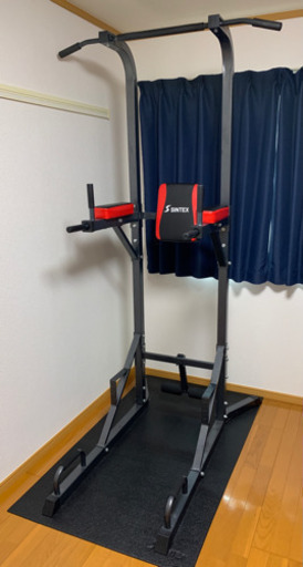 SINTEX(シンテックス) ぶら下がり健康器 懸垂マシンIII STM056