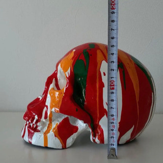 スカルデザイン Skull Designの画像