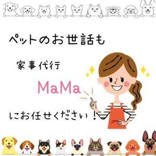 犬猫、小動物～爬虫類まで対応できる家事代行ペットサービスです