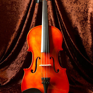 ビオラ Primera プリメーラ PVA-80 16inch ほとんど未使用②