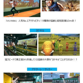 VS Park  東北　利府イオン　半額チケットの画像