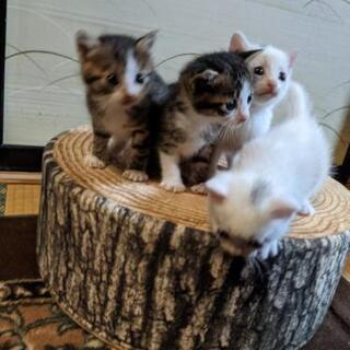 全部、決まりました。ありがとうございました。