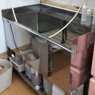 ドッグバス（取引中）