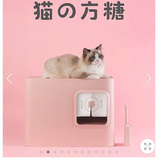 可愛い猫ちゃんトイレ🐱の画像