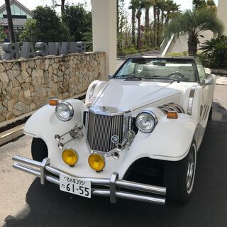 ミツオカ　光岡自動車　ドゥーラ　最終モデル　ナンバー有　500台限定の画像