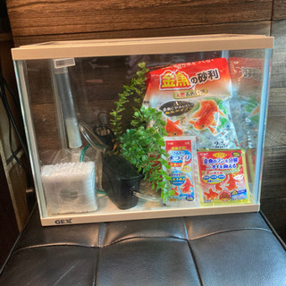GEX水槽セット