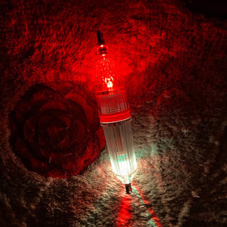 #釣具#集魚灯#高輝度#大型#複数色#点滅調整可能#の画像