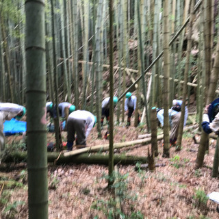 森林ボランティア仲間募集しています。