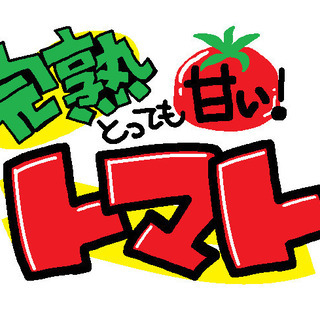 手描きＰＯＰ描きます！