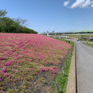 北区、板橋区、川口近辺でジョギング情報共有しませんか？