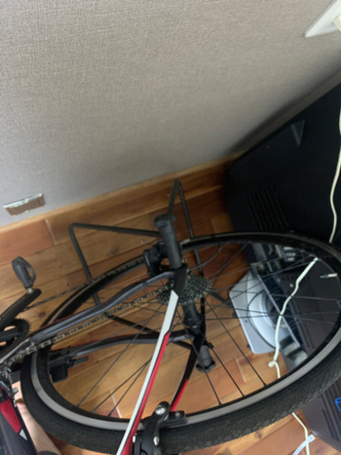 DEROSA  IDOL 2019年モデル 商談中