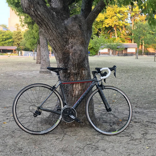 ロードバイク仲間募集