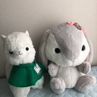 ぬいぐるみ　大きめ