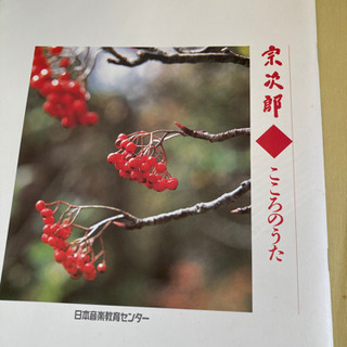 【安くしました】宗次郎【こころのうた】の画像