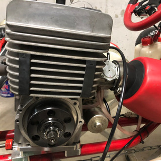 レーシングカート(カデット)　ビレル(birel ART C28-Y)　ヤマハ(YAMAHA KT100SEC)の画像