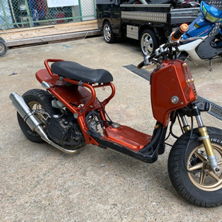 カスタムズーマー　不動現状売りの画像