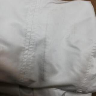 スプリングコートの画像