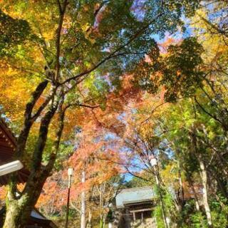 京都　南丹市で登山 - 友達