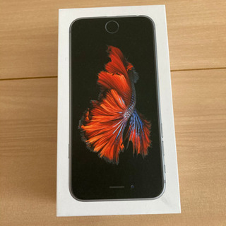 iPhone 6s 64GB ケース＋イヤフォンのみ