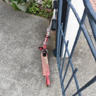 キックボード 子供用の画像