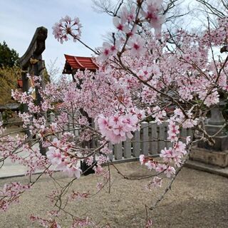 女性のメル友(30才～)全国募集★