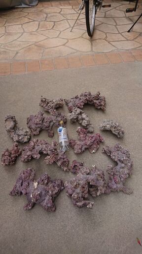 値引き可！人工ライブロック