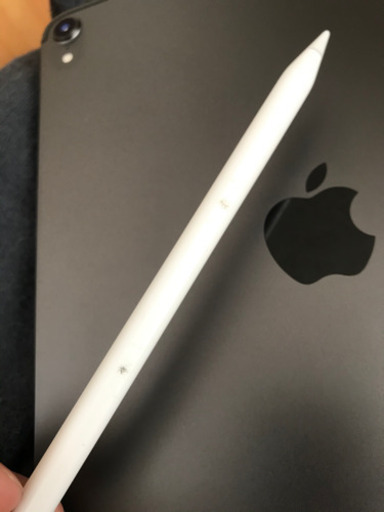 iPad Pro 11インチ 256GB セルラー、Apple pencil2、カバー2種類