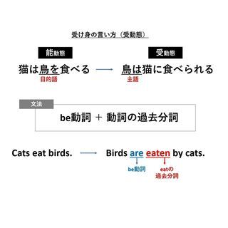 ☆★無料★☆中学生にZOOMで英語を教えます【土日・祝日のみ】の画像