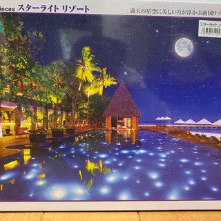 1000PSジグゾーパズル　パネル付❗️電気消すと光る！！
