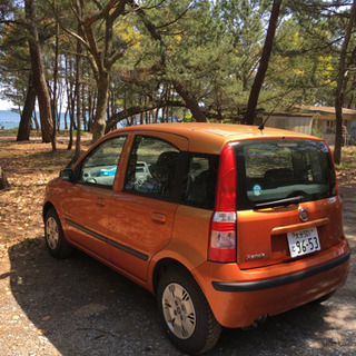 FIAT フィアット ニューパンダ 2023年１月まで車検付き　おしゃれなイタリア車　整備済みの画像