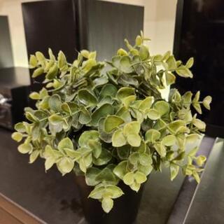 IKEA　フェイクグリーン　観葉植物の画像