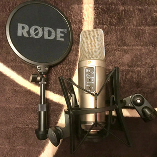 NT2-A コンデンサーマイクの画像