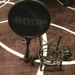 NT2-A コンデンサーマイクの画像