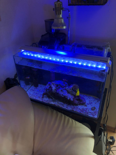 水槽セット(海水)値段変更しました