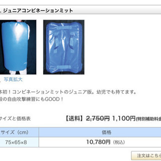 ジュニアコンビネーションミットの画像