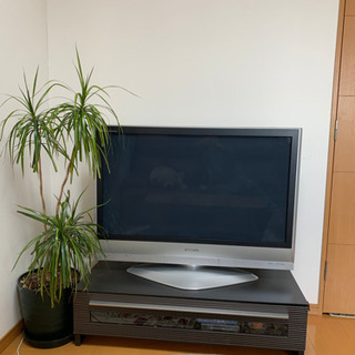 取りに来てくださる方差し上げます。