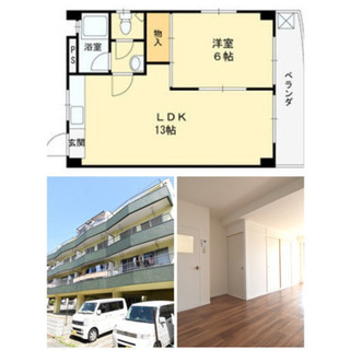 守口市🌻1LDK⭐︎初期費用無料🙆‍♀️