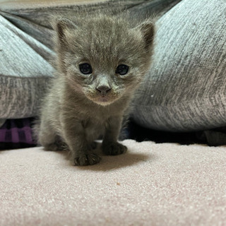 女の子生後1ヶ月