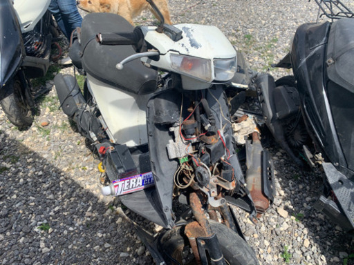v100不動